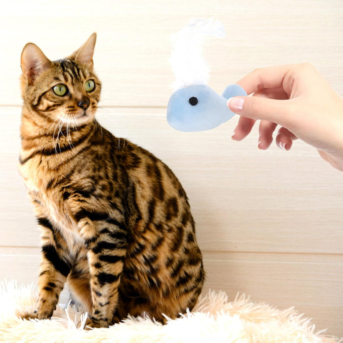 ABOOFAN Cat Whale Toys 4 Pack Interactive Plush Kitten Chew Toys with Feather for Indoor Cats Lightweight Soft Stuffed Toys for Exercise Anxiety Relief - Image 9