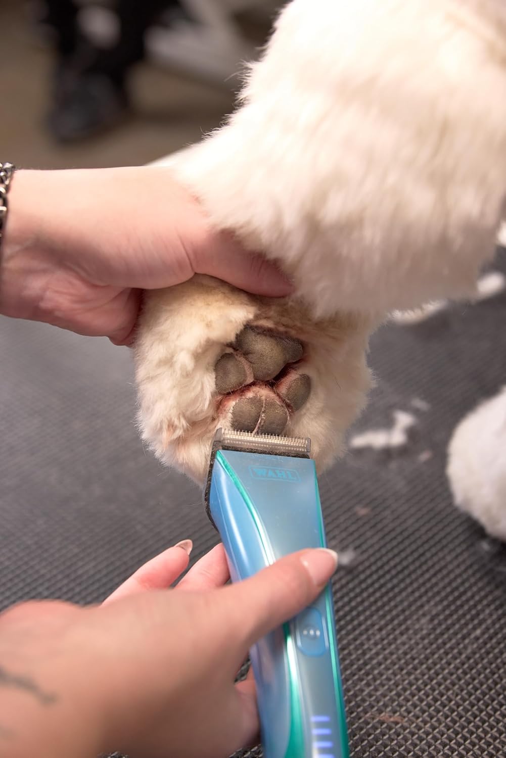 Premium Blue Ivy Wahl pet grooming tool package contents including the cordless clipper device