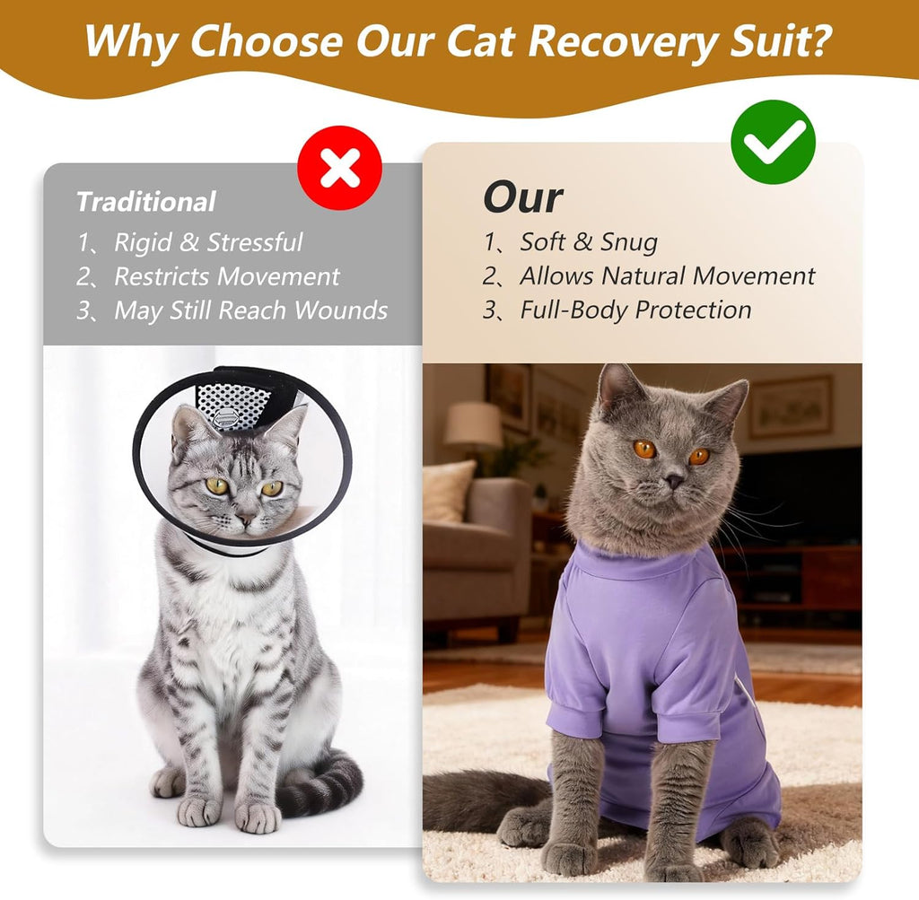 Side profile of cat wearing purple surgical recovery suit