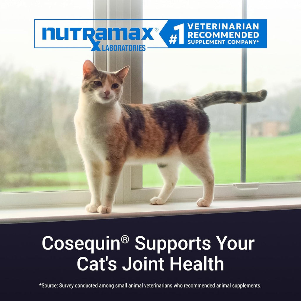 Nutramax Cosequin Sprinkle Capsules Close Up View