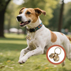 Small puppy wearing a collar featuring the extra loud copper tracking accessory.