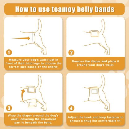 Water resistant outer layer fabric demonstration on Teamoy pet belly bands