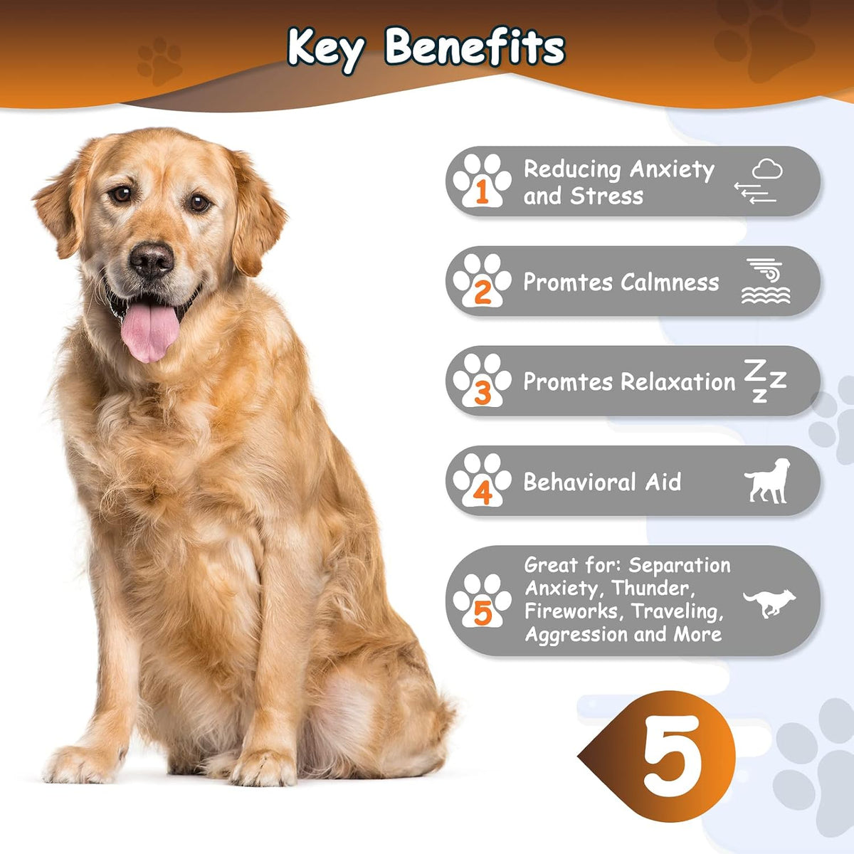 Internal heartbeat simulator module for Moropaky dog toy