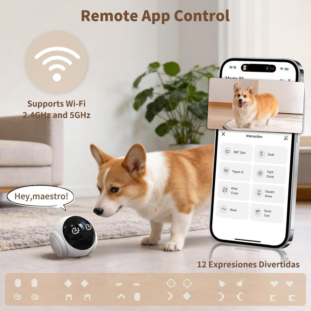 Honey Tour smart camera robot navigation and motion tracking