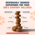 USA manufactured organic mushroom chews for dogs of all breeds and sizes.