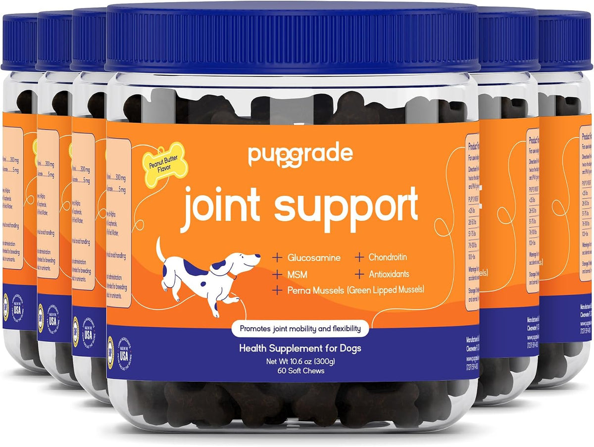 PupGrade Joint Support Supplement for Dogs - Glucosamine + Chondroitin with MSM and Perna - Supports Normal Hip & Joint Health for Occasional Discomfort, Beef Flavor - 60 Soft Chews - Image 12