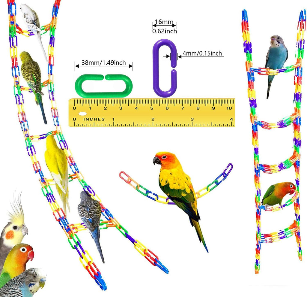 Pet parakeet playing with colorful plastic chain link toy
