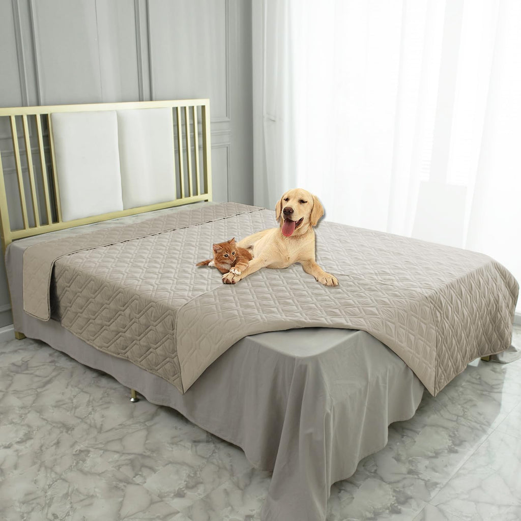 Ameritex pet blanket draped over a modern fabric couch to shield against spills and stains.