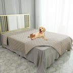 Ameritex pet blanket draped over a modern fabric couch to shield against spills and stains.
