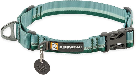 Ruffwear Web Reaction dog collar front view in River Rock Green