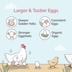 Nutritional label of Mile Four USA grown non-GMO chicken feed