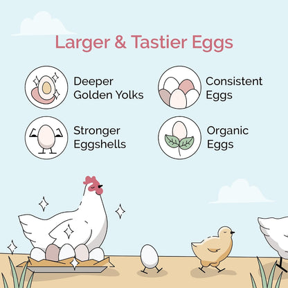 Nutritional label of Mile Four USA imported chick feed