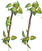 BNOSDM Reptile Climbing Branch Flexible Bend-A-Branch Jungle Vines Terrarium Plant Decoration with Suction Cup for Crested Gecko Chameleon Gecko Snake Tree Frog 2PCS - Image 9