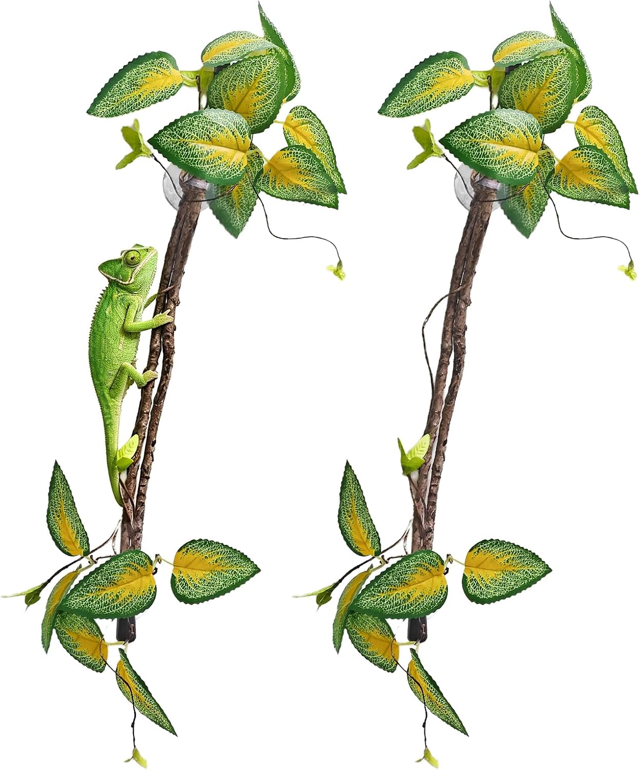 BNOSDM Reptile Climbing Branch Flexible Bend-A-Branch Jungle Vines Terrarium Plant Decoration with Suction Cup for Crested Gecko Chameleon Gecko Snake Tree Frog 2PCS - Image 9