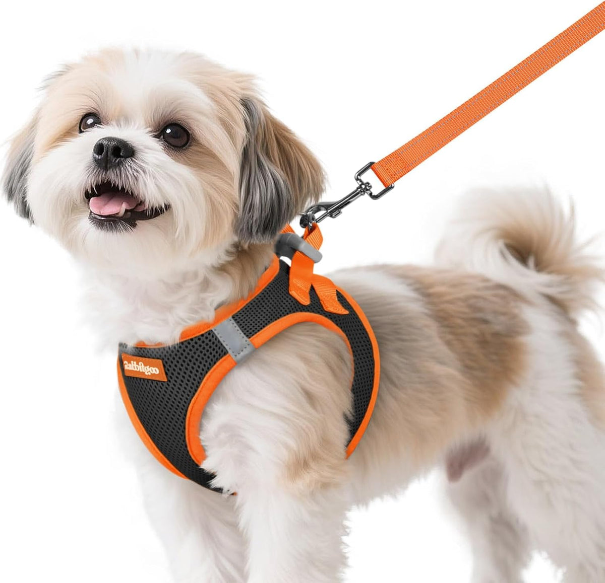 rabbitgoo Dog Harness Small Sized and Leash Set, Step-in Breathable Pet Harness, Soft Walking Reflective Puppy Vest for Small Dogs, Black & Rose Red, S - Image 11