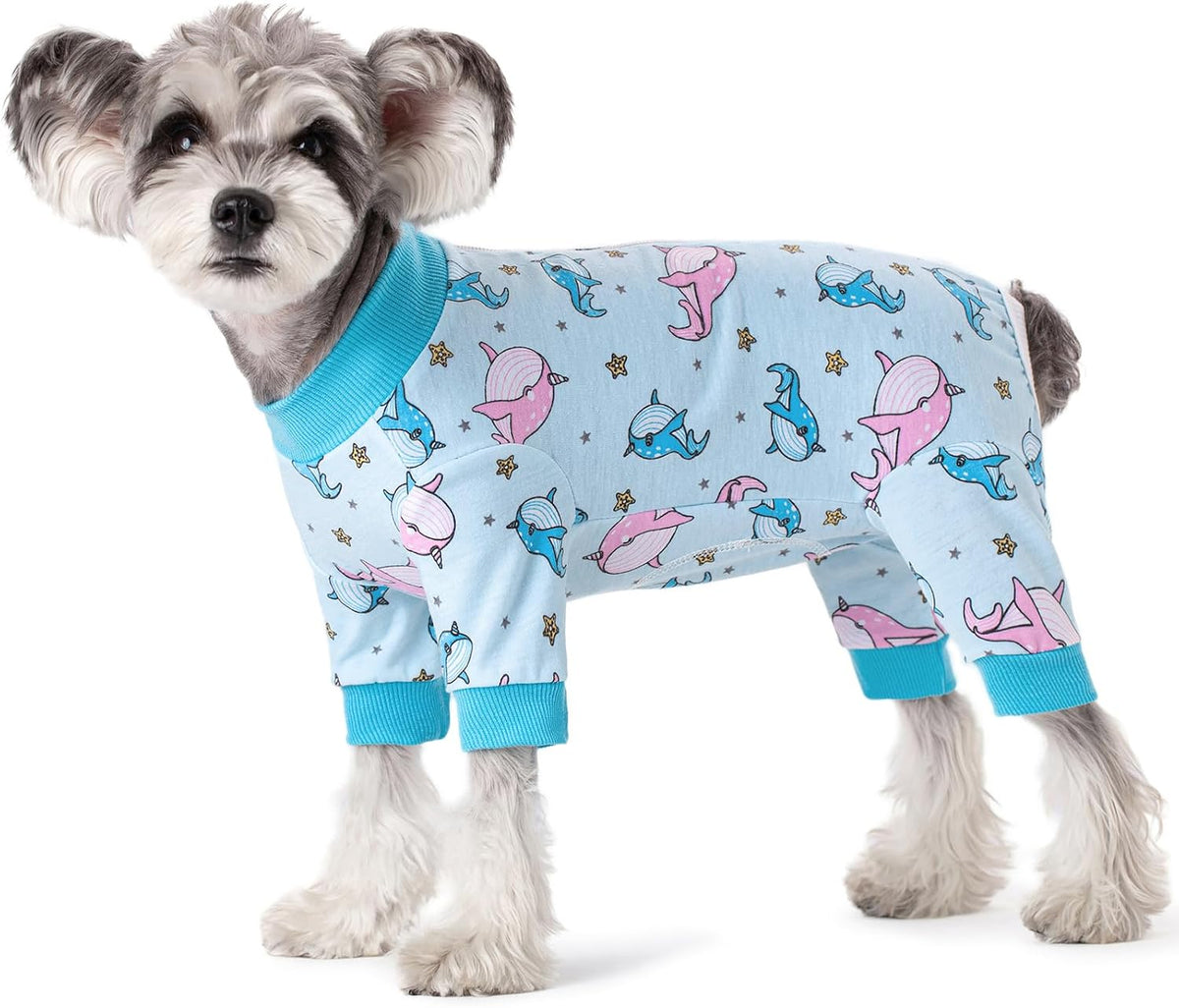 Dog Surgery Recovery Suit, Dog Onesie for Surgery Female Male Dogs, Dogs Pajamas Long Sleeve, Small Dogs Onesie, Abdominal Wound Bandages Surgical Suit, Cat Recovery Suit for Shedding Skin Disease - Image 9