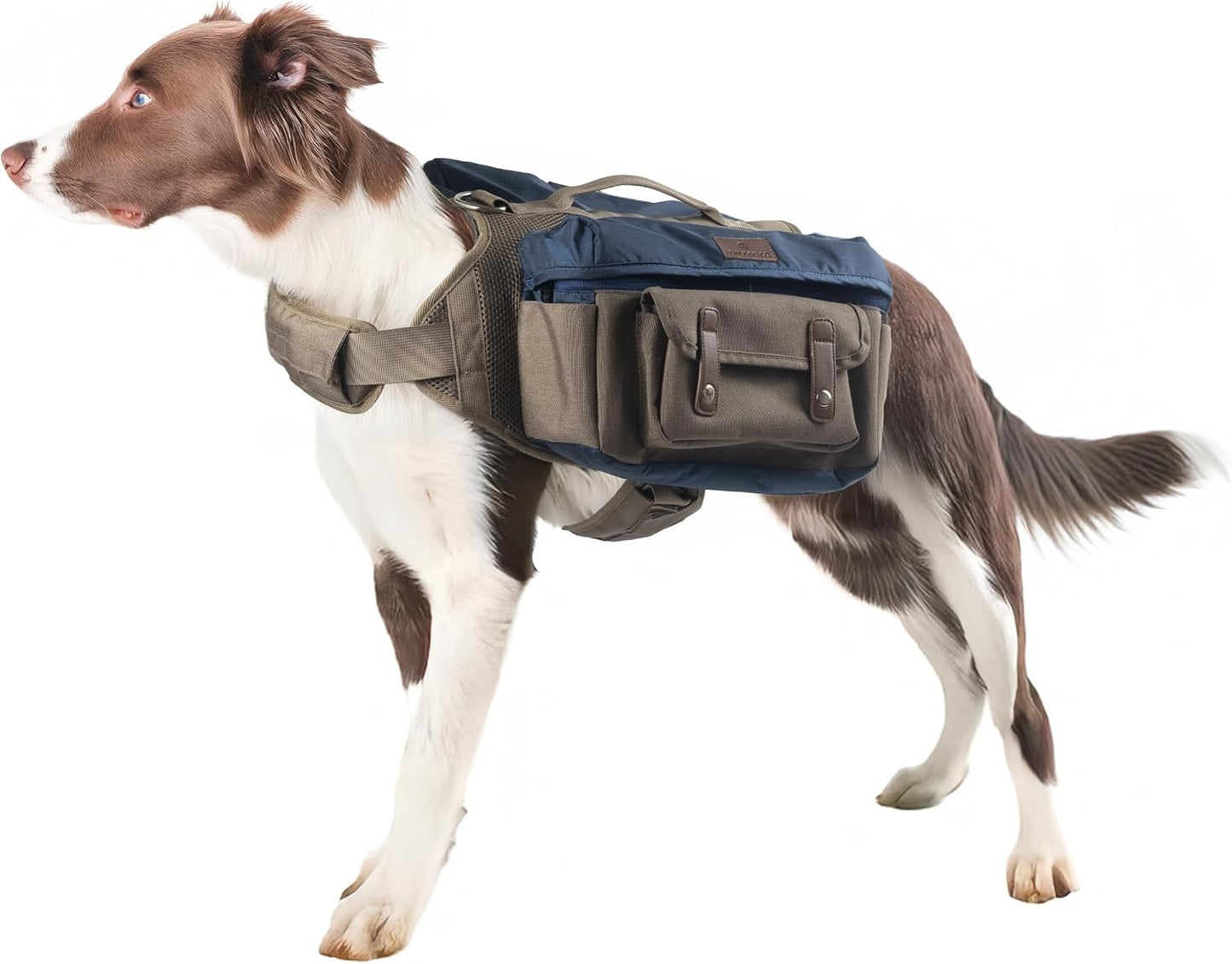 Howlidays Co dog hiking backpack harness front view for medium and large dogs