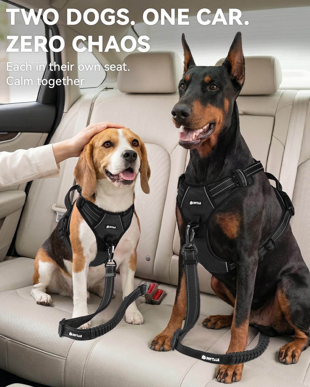 Joytale dog seat belt installed in a car back seat