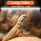 Balanced spectrum illumination setup delivering necessary UVA and UVB light for indoor terrariums.