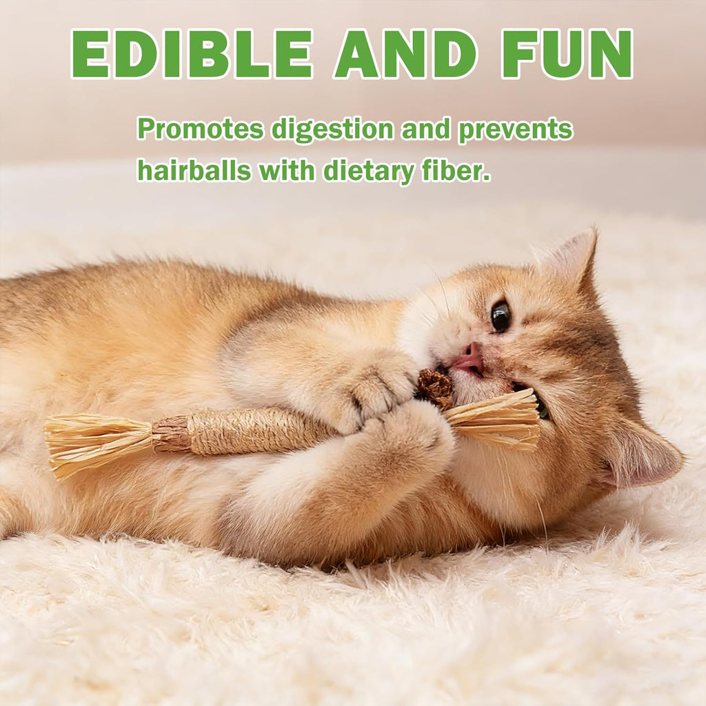 Cat playing with Grembeb silvervine chew rope toy