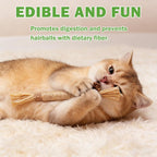 Cat playing with Grembeb silvervine chew rope toy