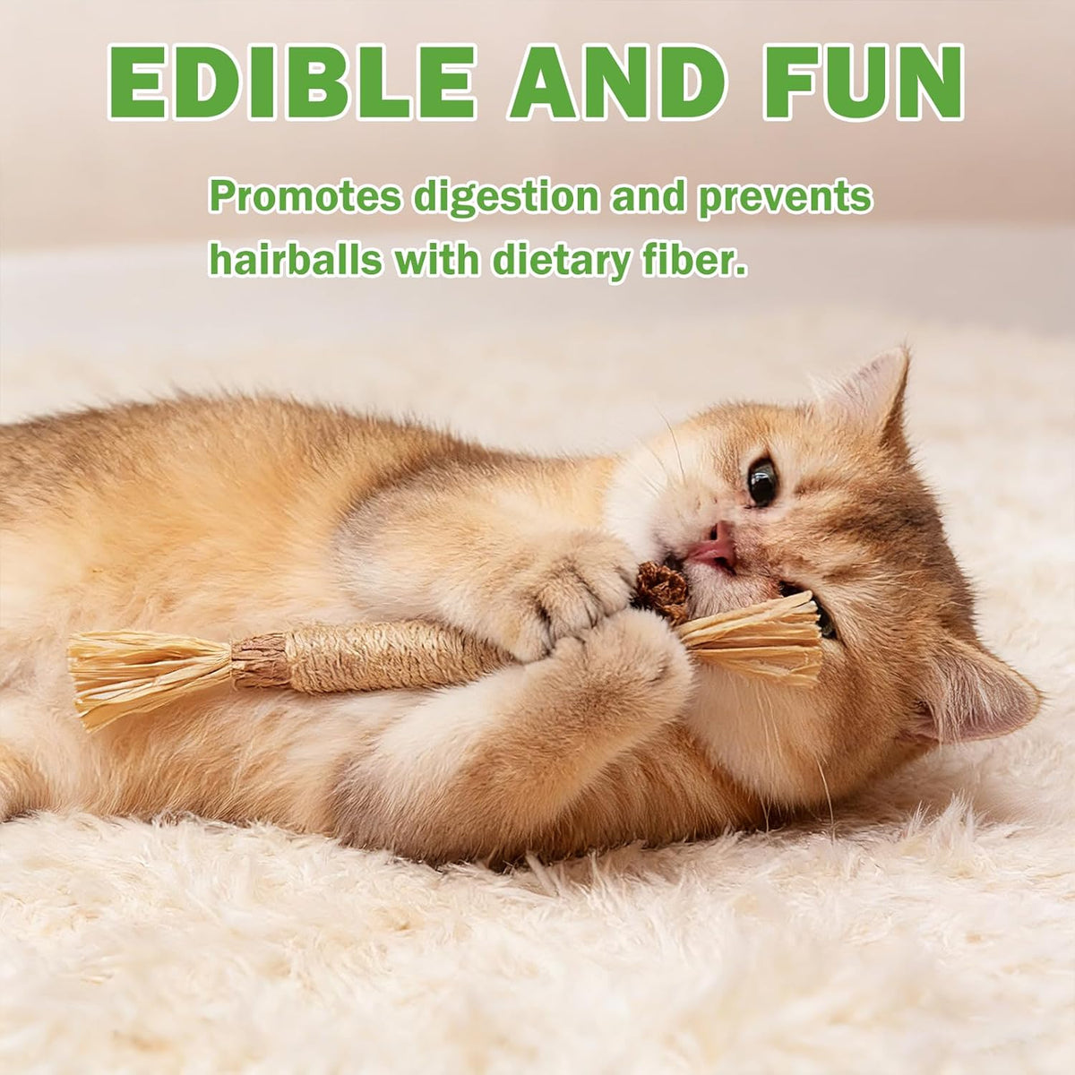 Cat playing with Grembeb silvervine chew rope toy