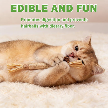 Cat playing with Grembeb silvervine chew rope toy