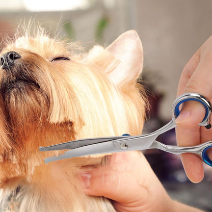 Safe blunted tip pet shears ideal for trimming sensitive areas around pet eyes