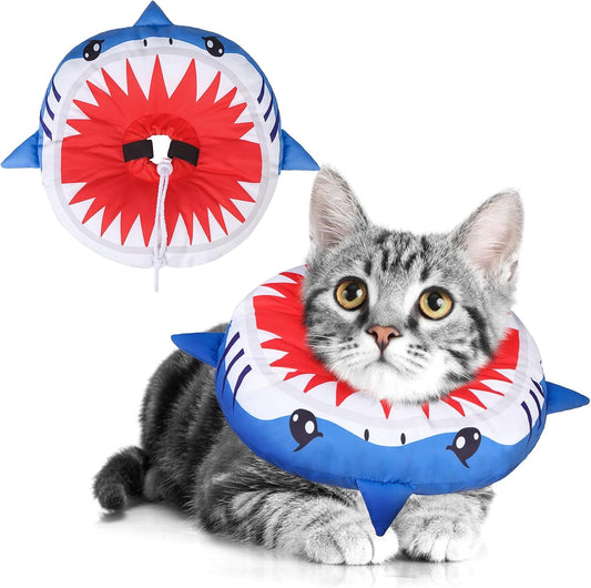 Beautyzoo soft cat cone recovery collar front view on a kitten