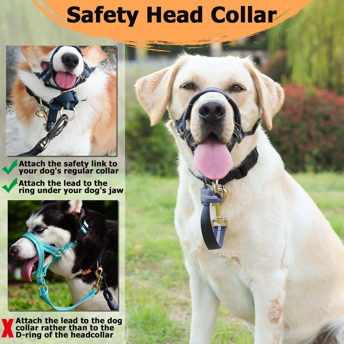 Durable metallic leash attachment hook on dog collar
