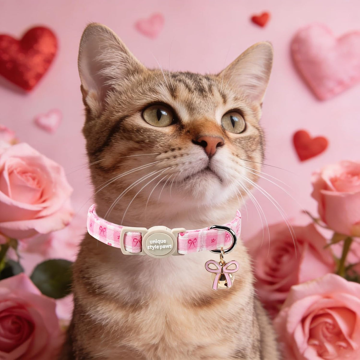 Unique Style Paws beige heart kitten collar showcasing the durable metal D-ring attachment for charms and identification tags.