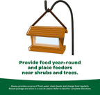 Small songbirds gathering around a backyard bird feeder