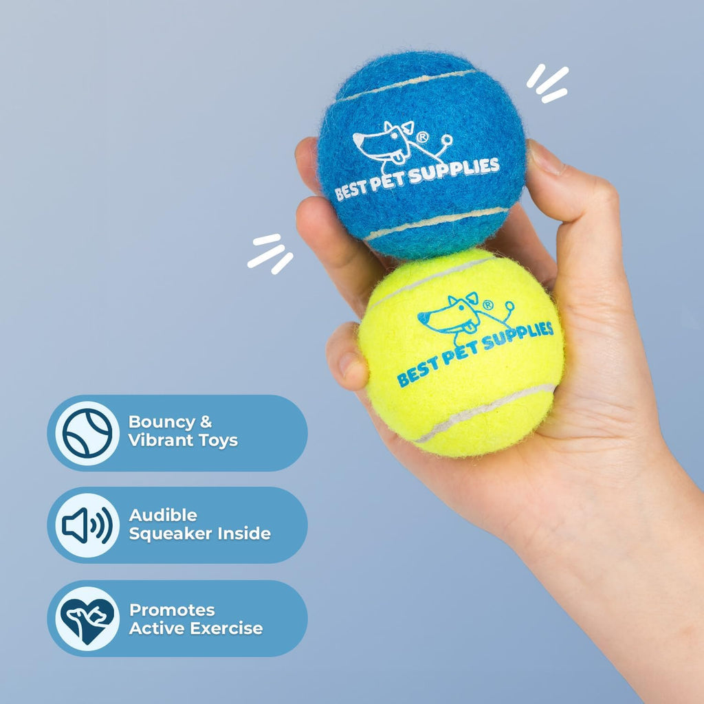 Dog playing fetch with Best Pet Supplies squeaky tennis toy