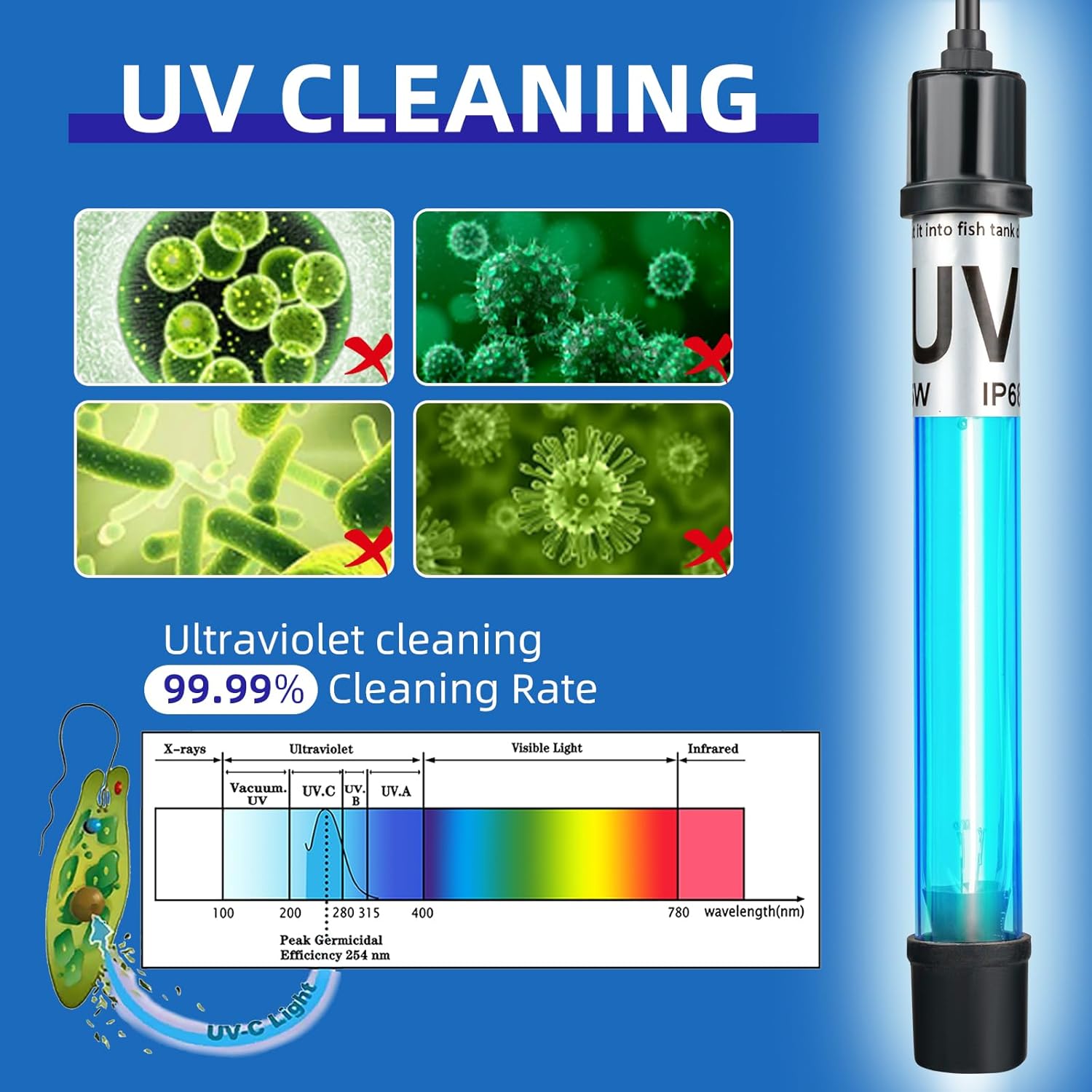 Aquarium setup with green water cleaning UV lamp