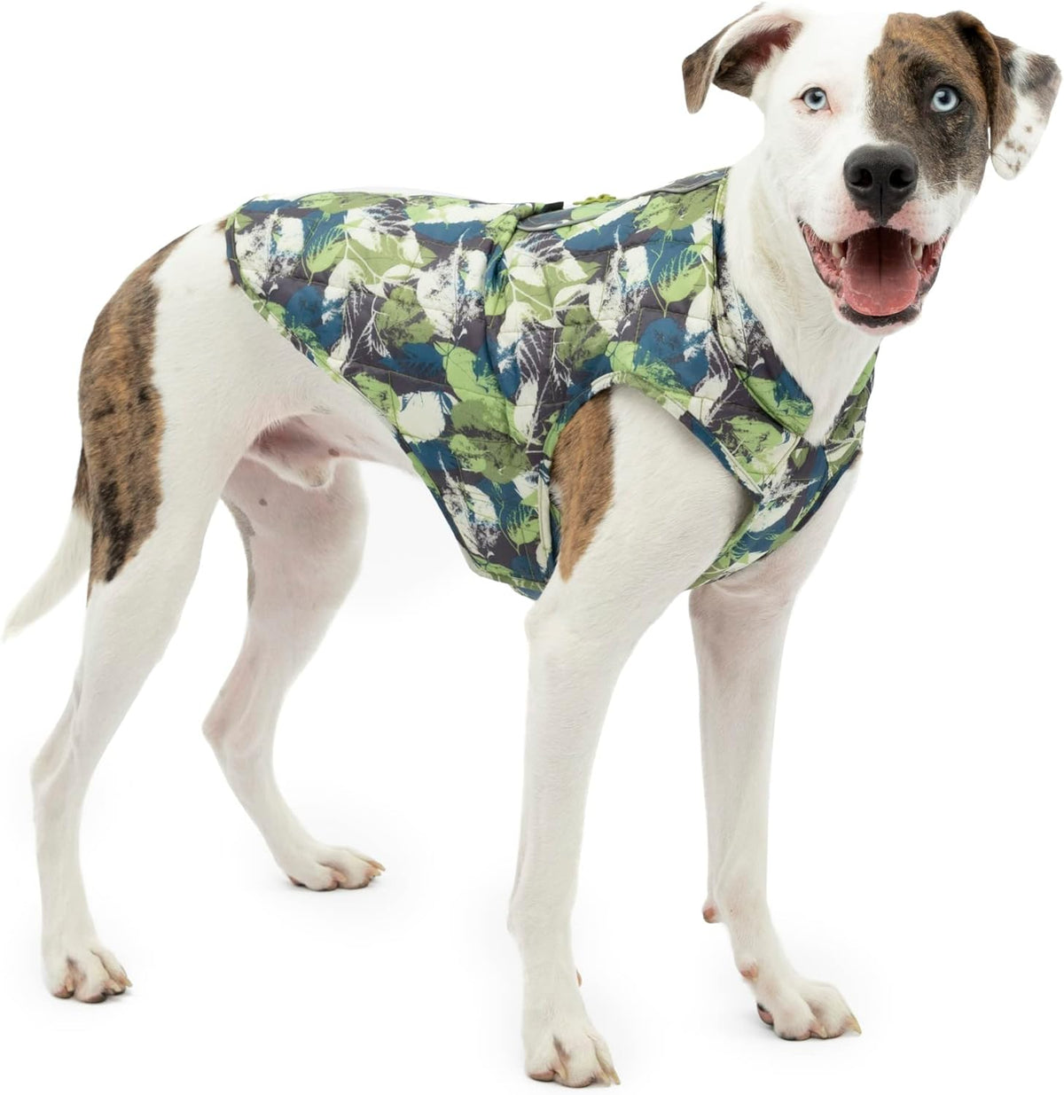 Side profile of dog in Kurgo athletic fit jacket