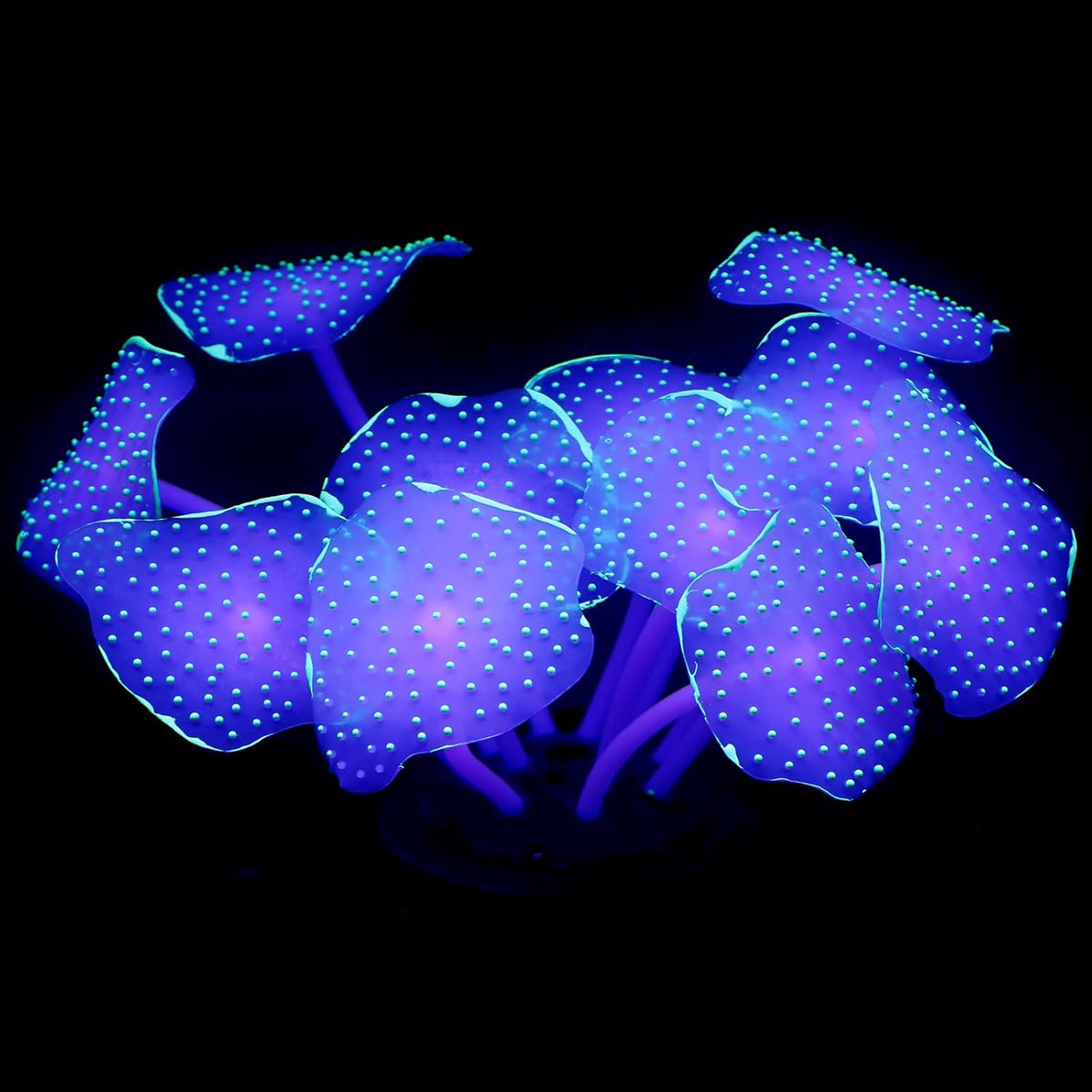 Uniclife silicone coral aquarium ornament front view showing green ball shape.