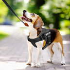 Voopet adjustable no pull dog vest with reflective identification straps