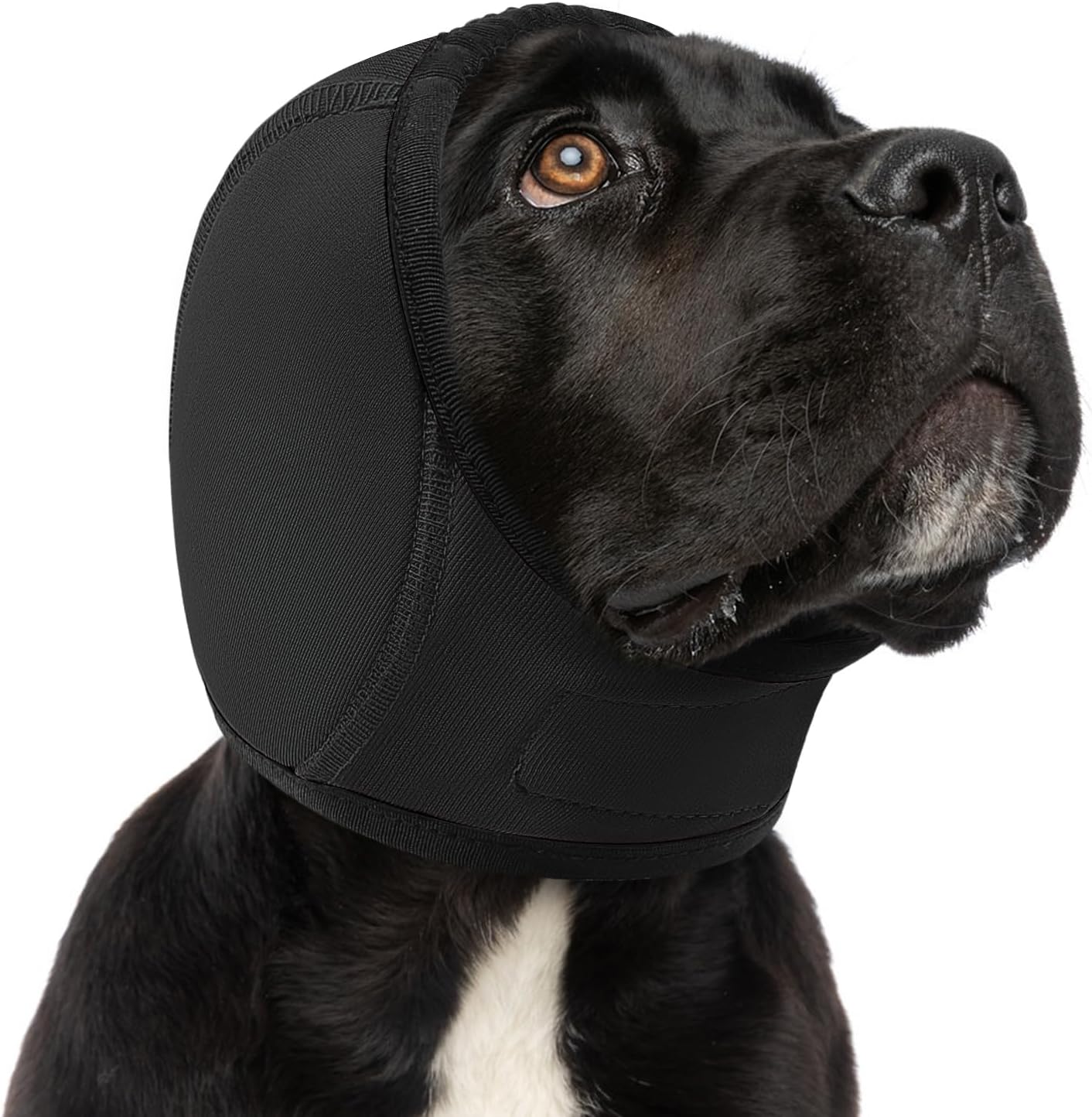 SUNFURA Dog Calming Hoodie front view of a small black pet ear muff for anxiety relief