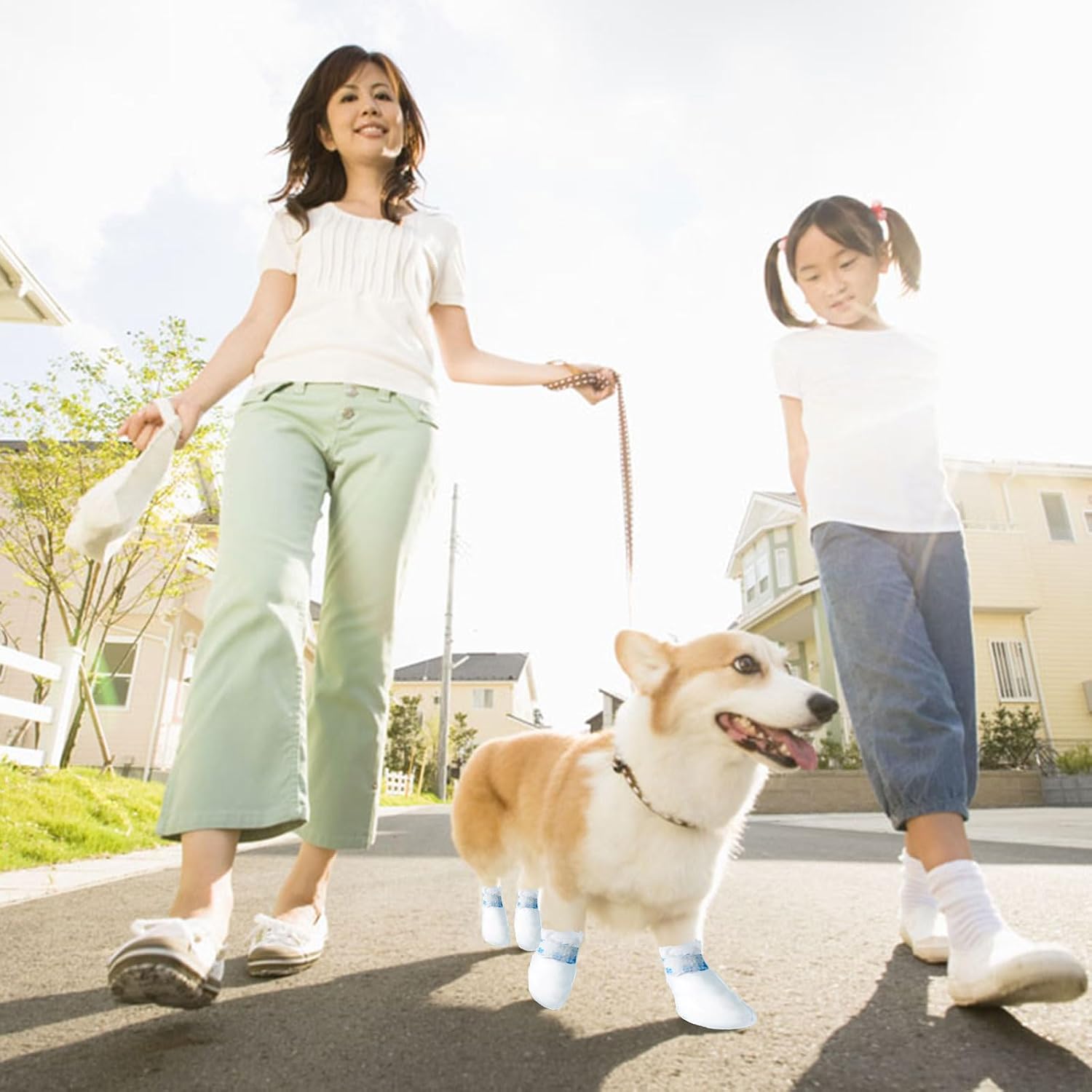 Pack of 20 disposable dog boots in white