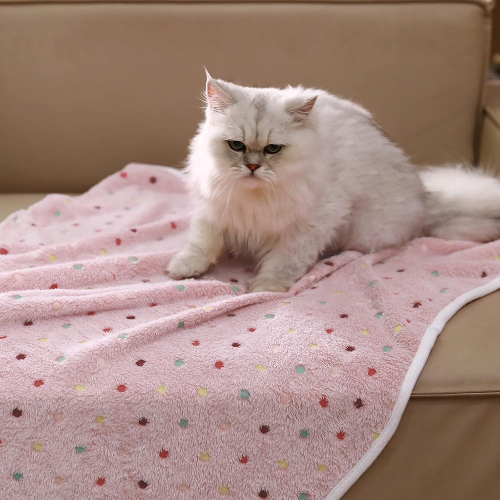 Small kitten resting comfortably on the beige Luciphia flannel fleece throw