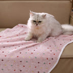 Small kitten resting comfortably on the beige Luciphia flannel fleece throw