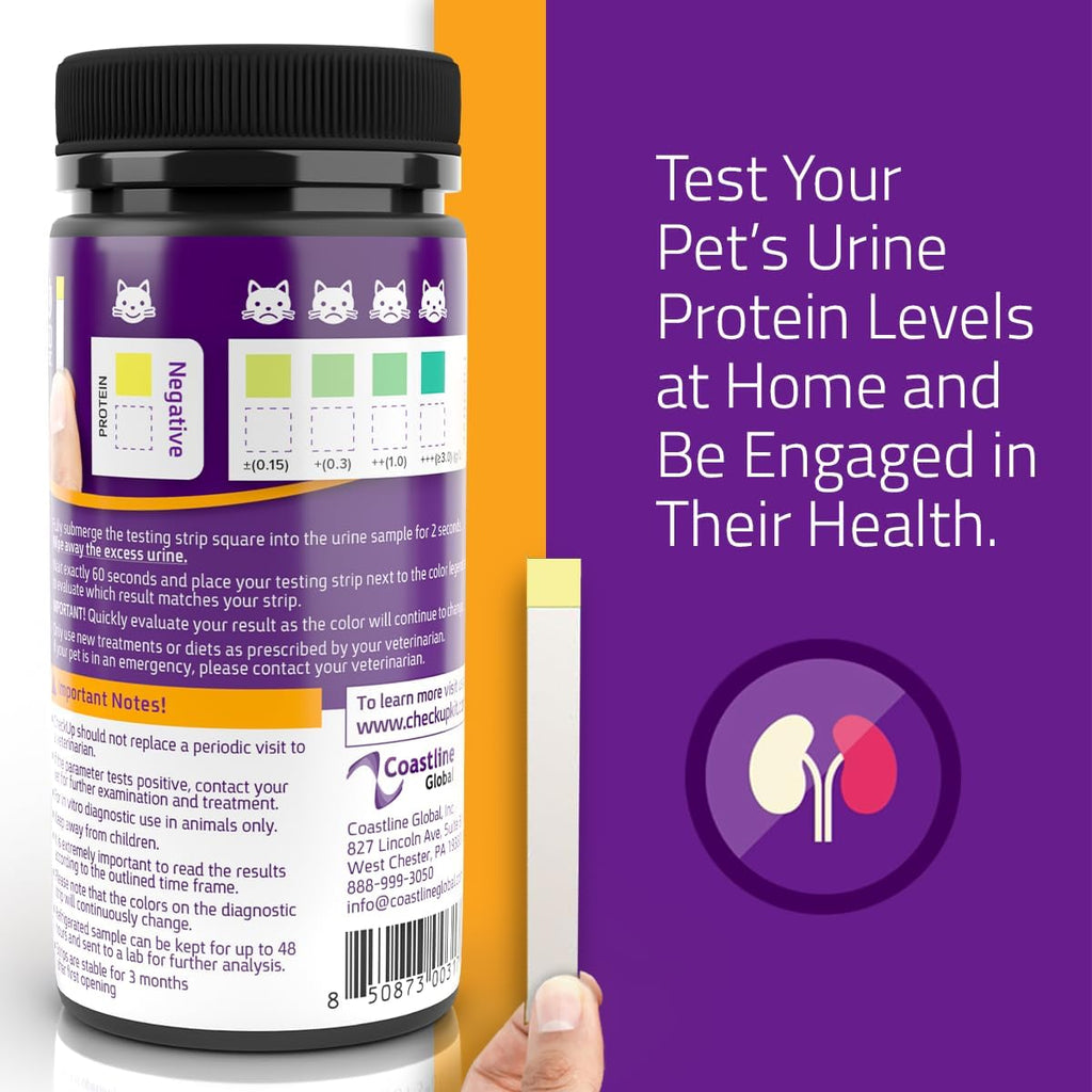 Close-up of KIT4CAT urine test strips showing individual clinic-grade protein indicators.