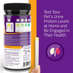 Close-up of KIT4CAT urine test strips showing individual clinic-grade protein indicators.