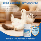 Morvequa veterinary strength broad spectrum cat dewormer tablets ideal for tapeworm treatment