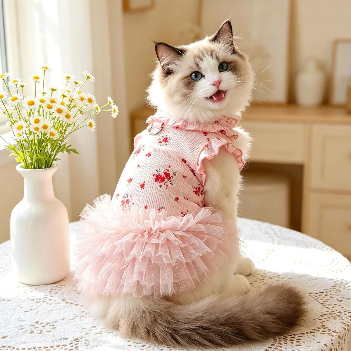 Detailed shot of the ruffled trim neckline on the YZHZIIR pet clothes