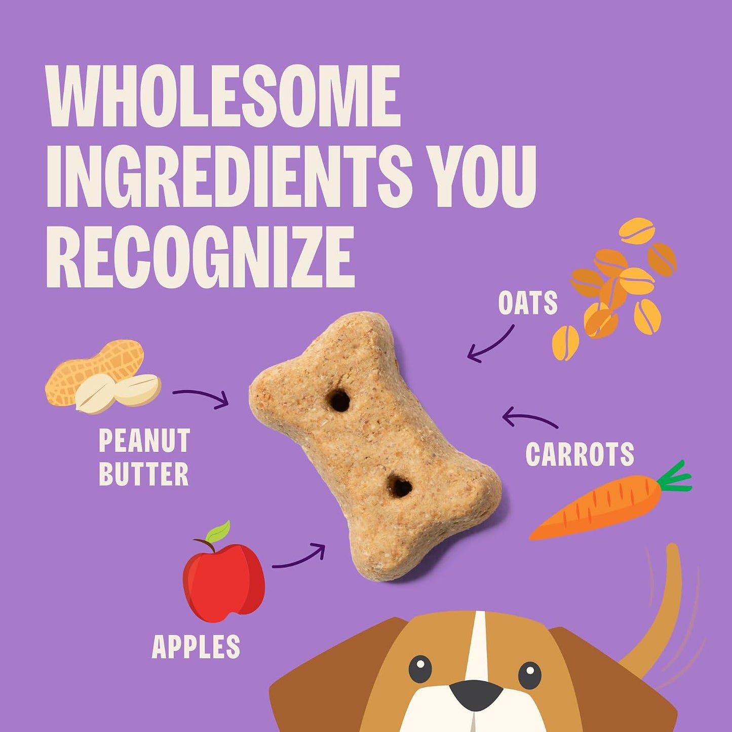 Mini crunchy bone shaped dog biscuits with peanut butter apples and carrots ingredients.