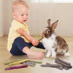 VESPRO small rodent gnawing toys showing original timothy grass fiber alignment.