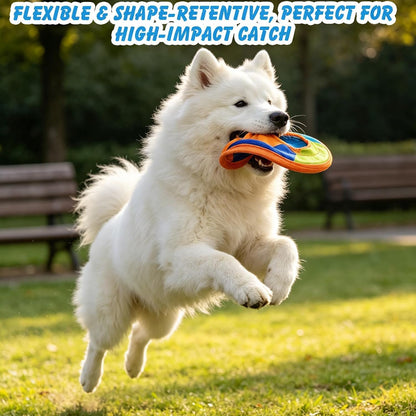 Expawlorer pet toy being held by a medium breed dog