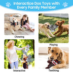 Soft plush safe interactive dog chew bundle close up.