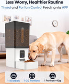 Wnfuo automatic dog food dispenser highlighting the twenty millimeter anti clog wide chute